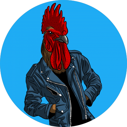 Punk rooster
