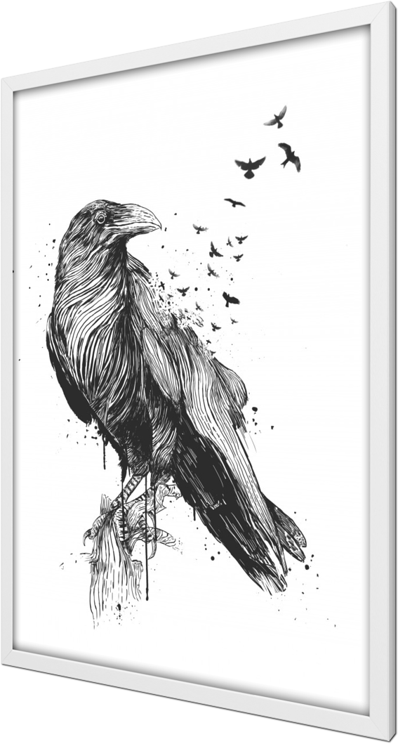 Born to be free, bird, raven, crow, animals, drawing, ink, tattoo, black and white, surreal, surrealism