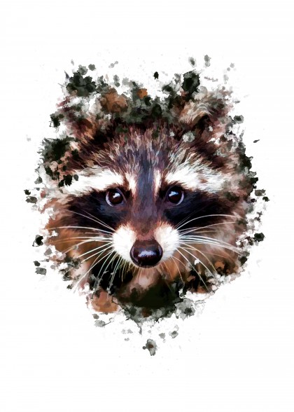 Raccoon Splatter Painting