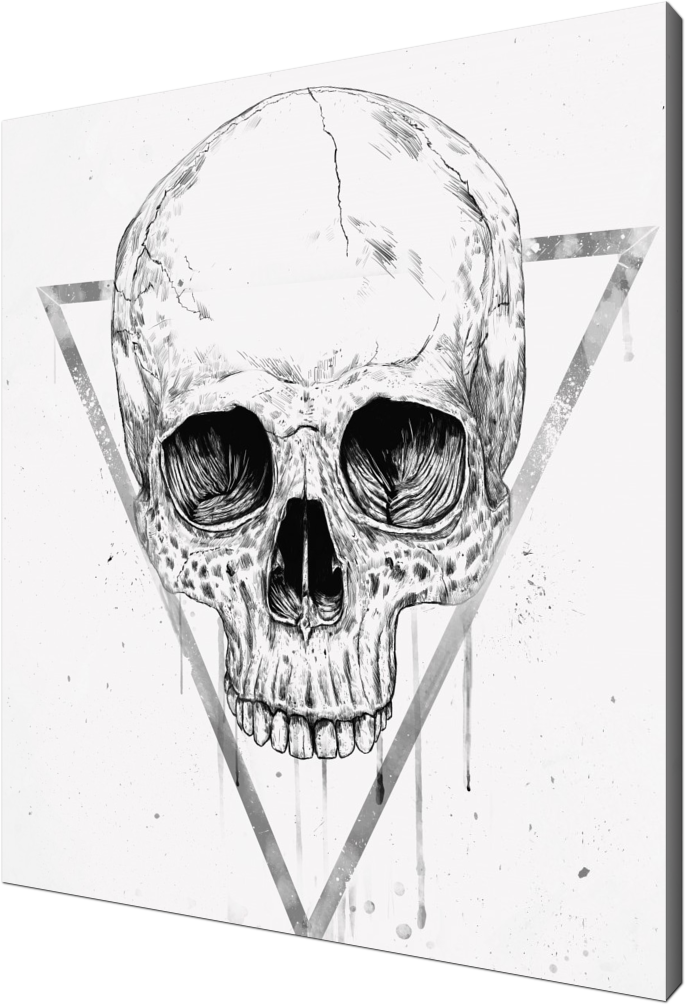 Skull in a triangle (bw), skull, triangle, geometric, dark, grunge, ink, drawing