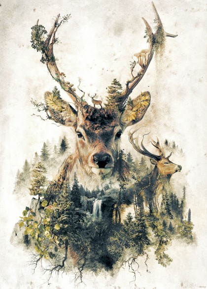 Deer Surrealism