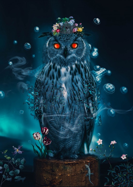 Sapphire Owl, digital art, illustration, owl