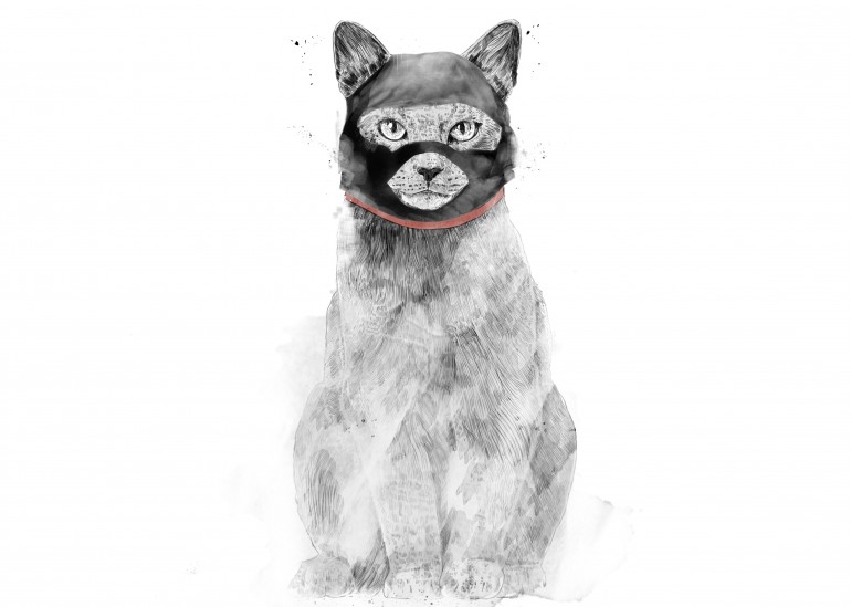 Masked cat, cat, kitty, kitten, animals, mask, superhero, humor, funny, drawing, cute, watercolor, painting, pencil, charcoal