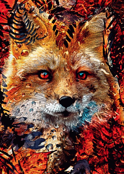 Sacred fox animal red autumn
