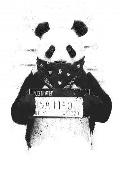 Bad panda