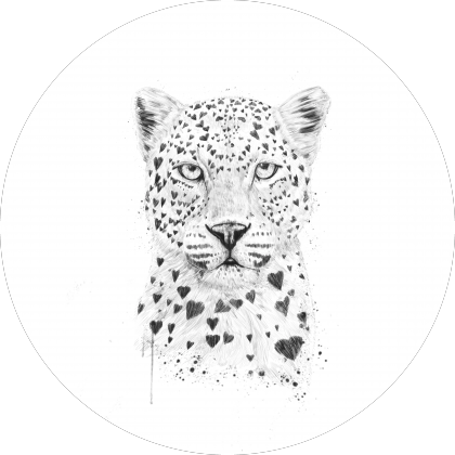 Lovely leopard
