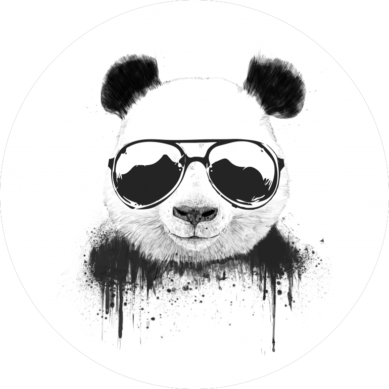 Stay Cool, panda, animals, bear, nature, wildlife, sunglasses, summer, drawing, graffiti, street art, humor, funny, cute