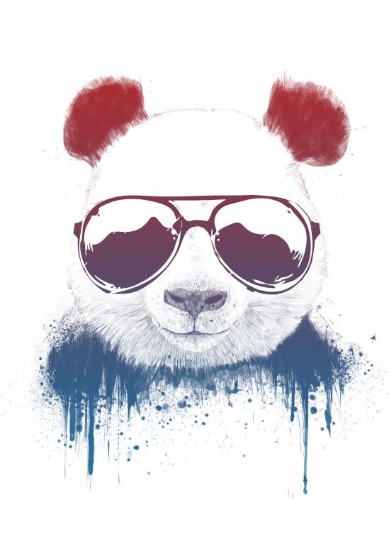 Stay Cool II, panda, animals, sunglasses, summer, summervibes, bear, wildlife, nature, cool, humor, funny, cute, drawing, graffiti, illustration