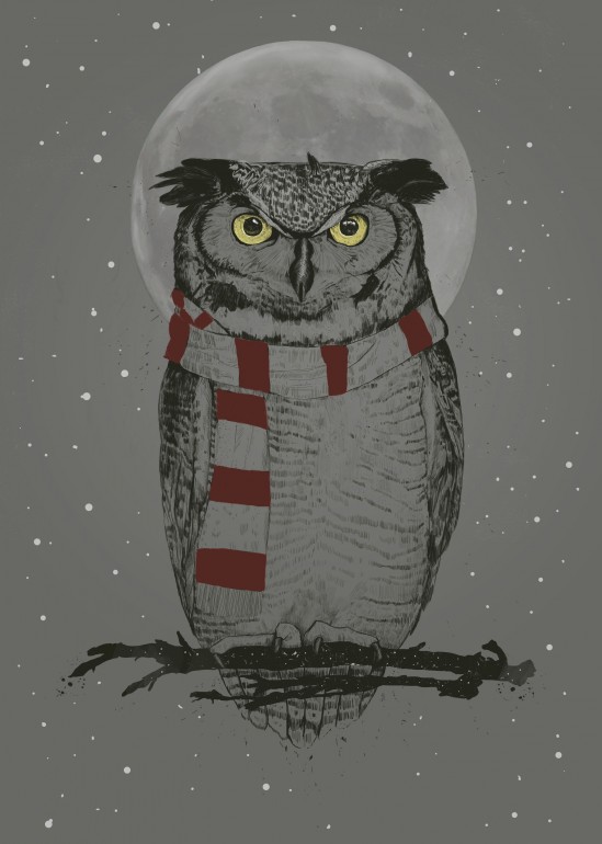 Winter owl, owl, bird, animals, nature, wildlife, winter, scarf, moon, snow, night, humor, funny, holidays, christmas