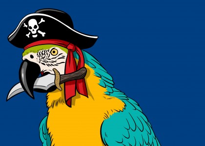 Pirate Macaw