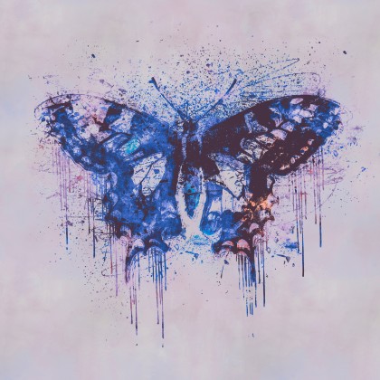 Fantastic Butterfly