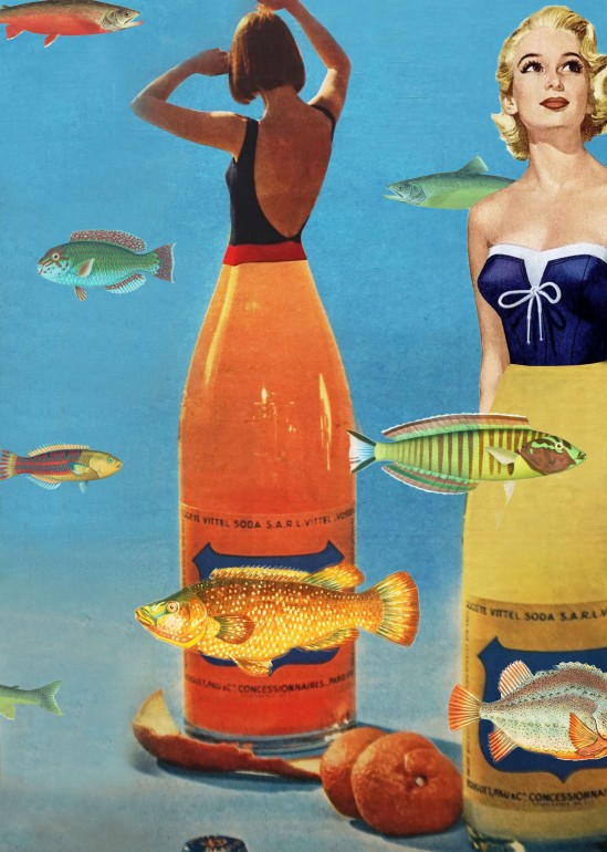 Mermaids, fish, bottles, oranges