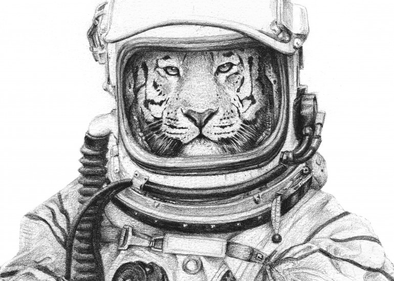 Apollo 18, wild, wildlife, wild animals, wild animal, retro, vintage, old, old poster, old picture, animals, animal, forest, forests, woods, jungle, safari, lion, lions, tiger, tigers, astronaut, astronauts, space, moon, stars, star, universe