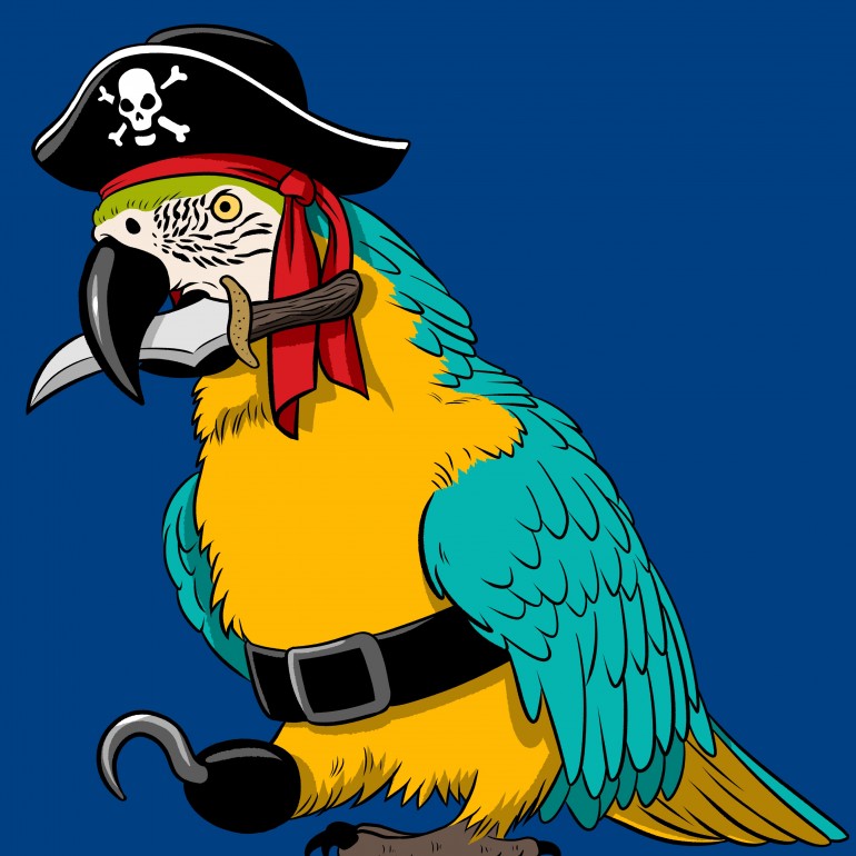 Pirate Macaw, macaw, parrot, bird, pirate, tropical, skull, pet