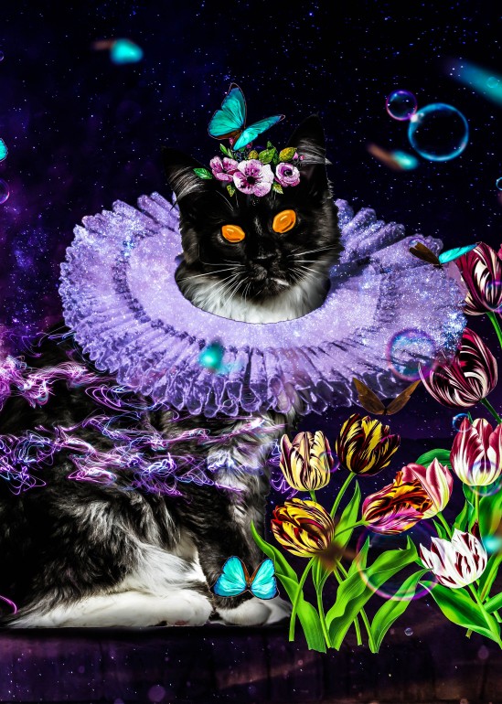 Queen Kitten, digital art, illustration, kitten