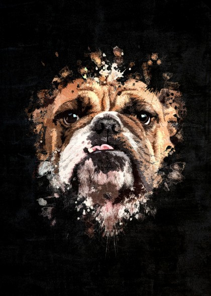 Bulldog Splatter Painting