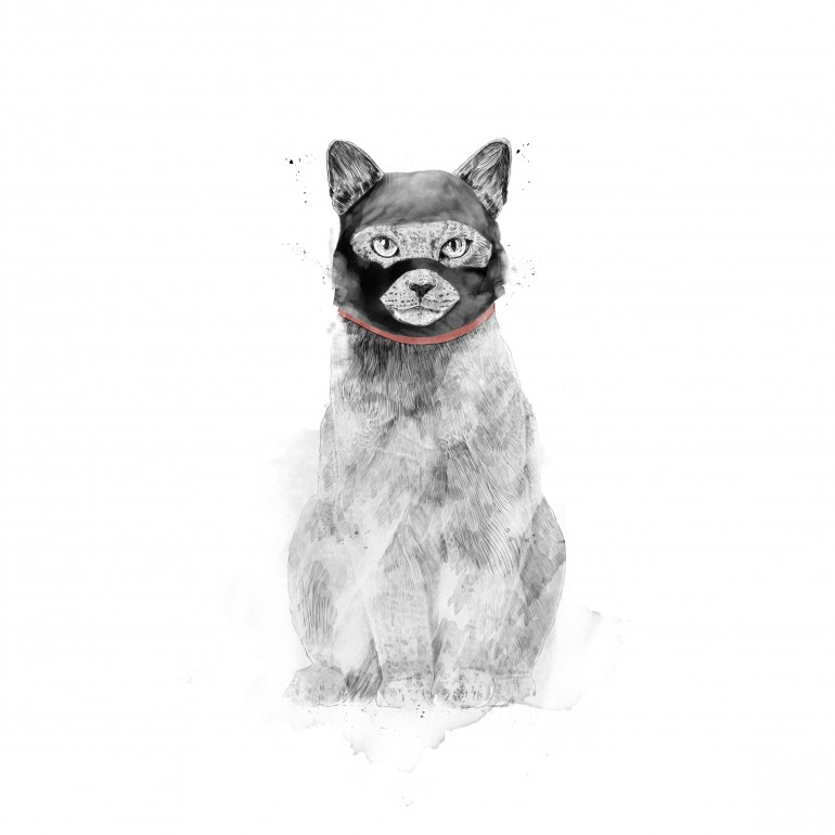 Masked cat, cat, kitty, kitten, animals, mask, superhero, humor, funny, drawing, cute, watercolor, painting, pencil, charcoal