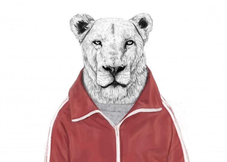 Sporty lion, lions, cats, animals, sport, sporty, cute, humor, funny, portrait, drawing