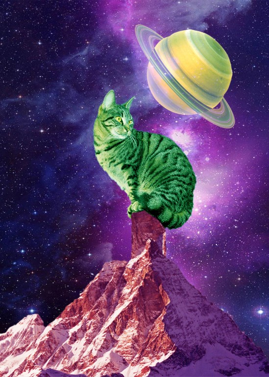 Space Cat, surreal surrealism digitalart digitalcollage collage graphicdesign photoshop photomanipulation animal