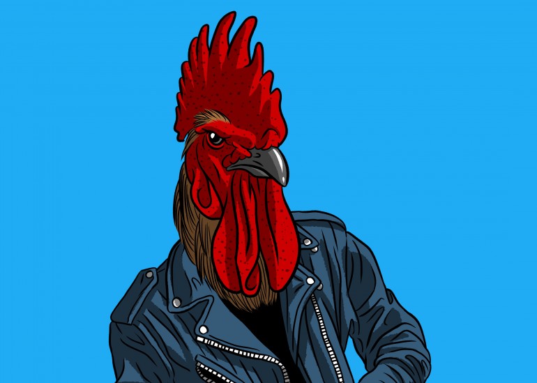 Punk rooster, rooster, bird, nature, animal, rock, heavy, punk
