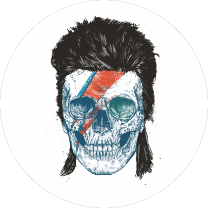 Bowie's skull
