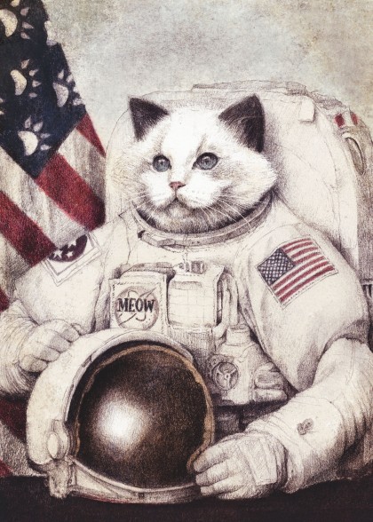Meow out of Space