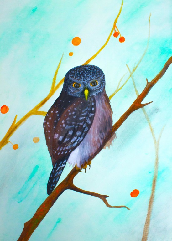 The owl on branch, owl, branch, watercolor, nature, bird