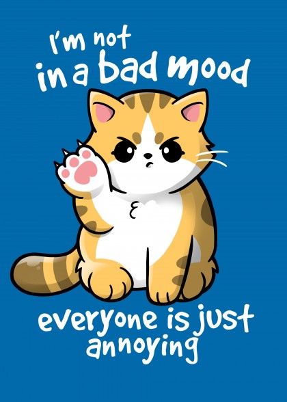 Bad mood cat