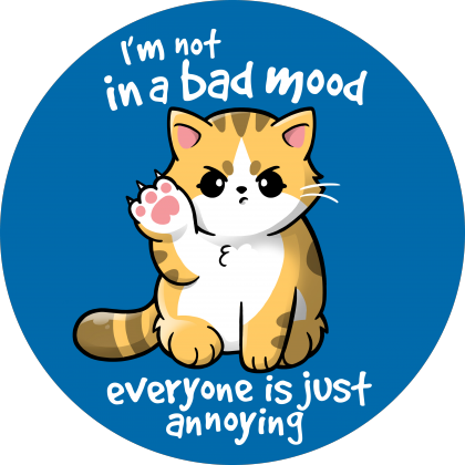Bad mood cat