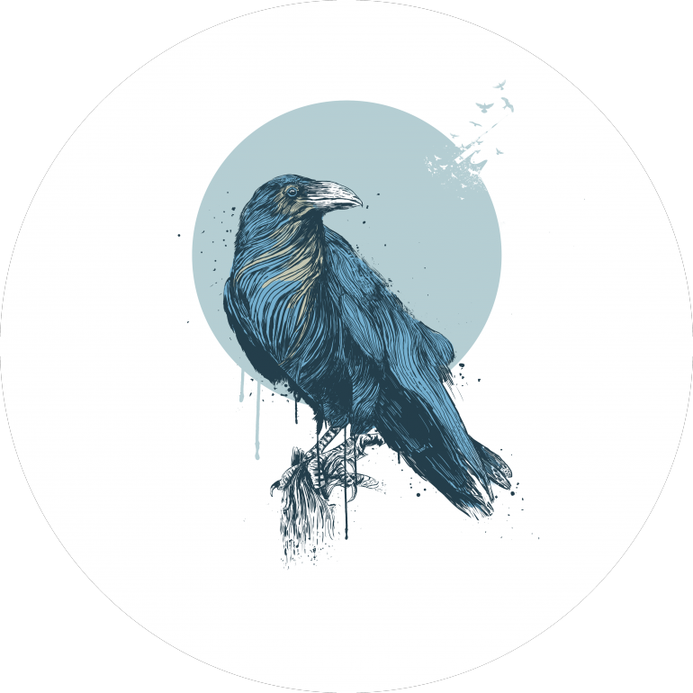 Blue crow, birds, animals, raven, crow, circle, geometric, drawing, ink, illustration, cool, grunge