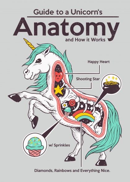 Anatomy of a Unicorn