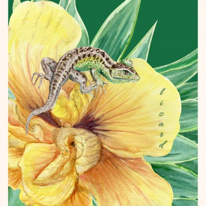 Lizard on the flower