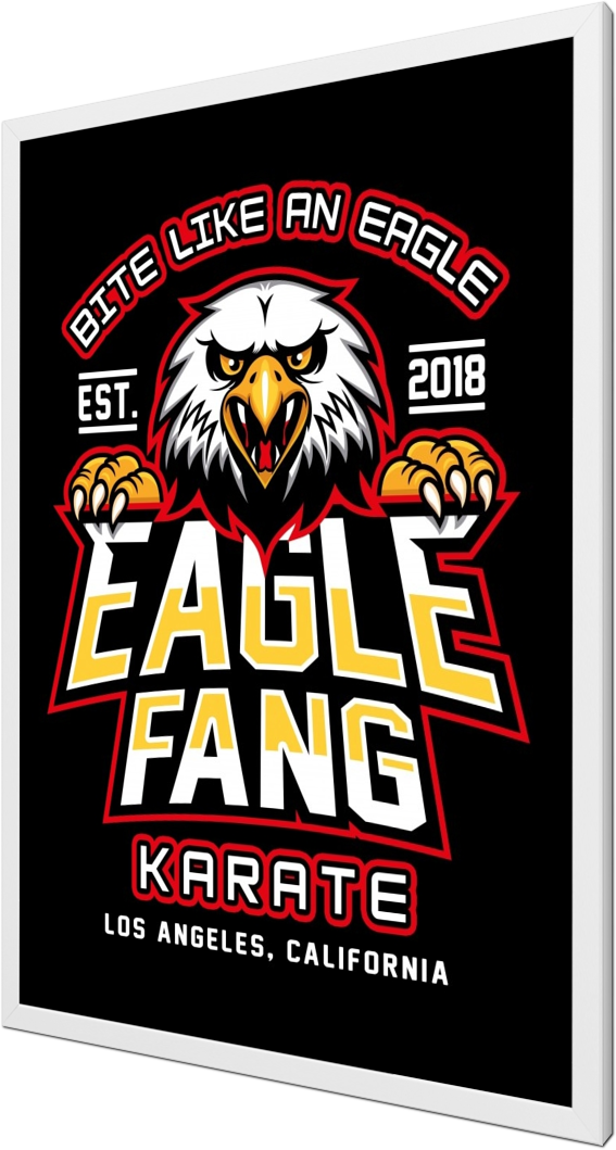 Eagle Karate Dojo, television, tv series, karate kid, cobra kai, sensei, dojo, karate, movies, eagle fang, lawrence
