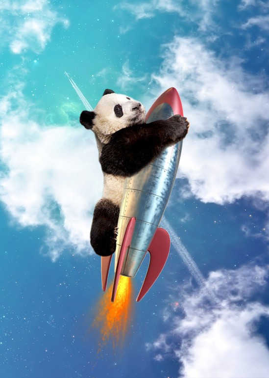 Fly Panda Fly, surreal, surrealism digitalart digitalcollage collage graphicdesign photoshop photomanipulation animal