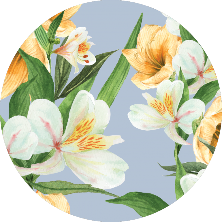 Astromelias illustration, flower, astromelia, botanical