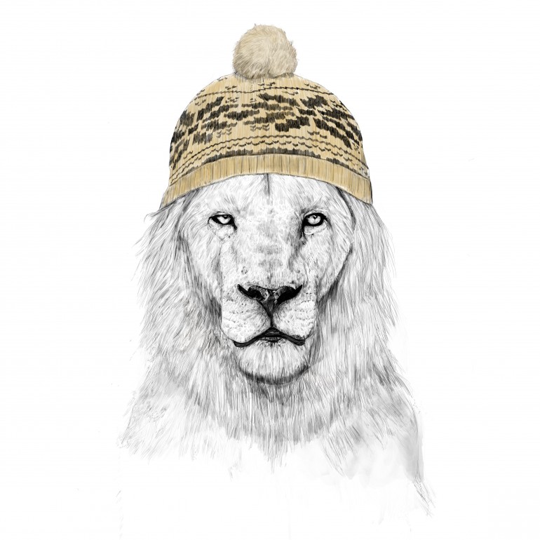 Winter is here, lion, cat, animals, wildlife, nature, winter, humor, funny, drawing, christmas, holidays
