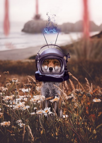 SPACE FOX!!