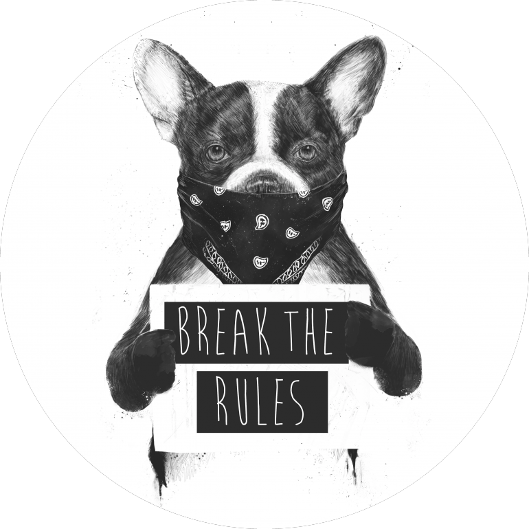 Rebel dog, bulldog, dog, animals, pet, frenchie, typography, text, quote, humor, funny, graffiti, street art