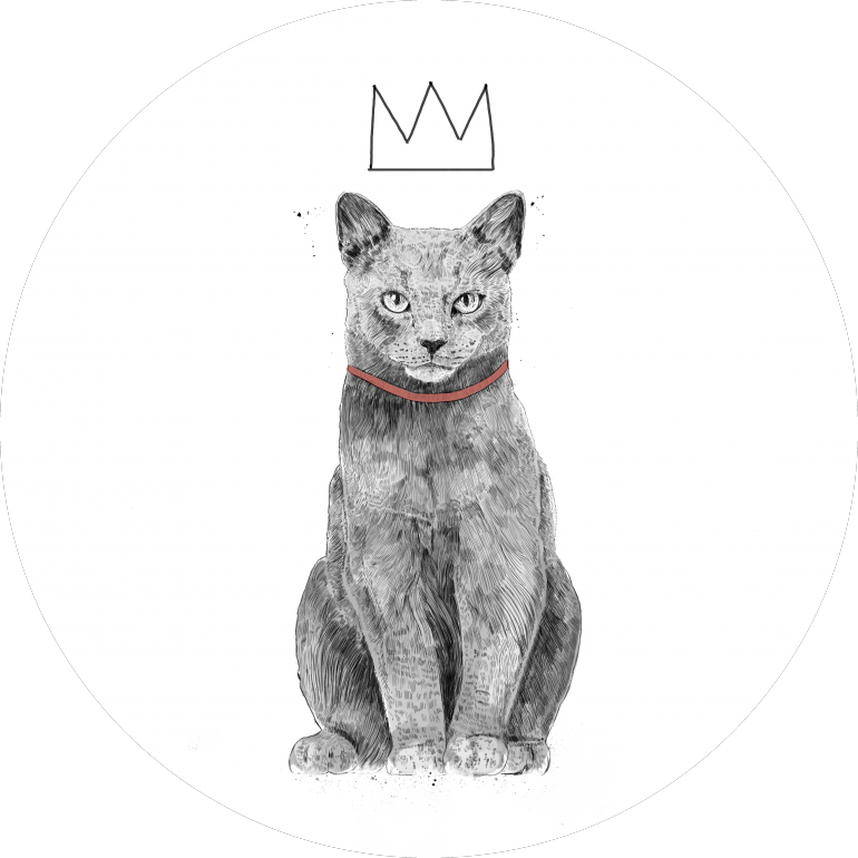 King of everything, cat, animals, pet, humor, funny, crown, king, handdrawn, drawing