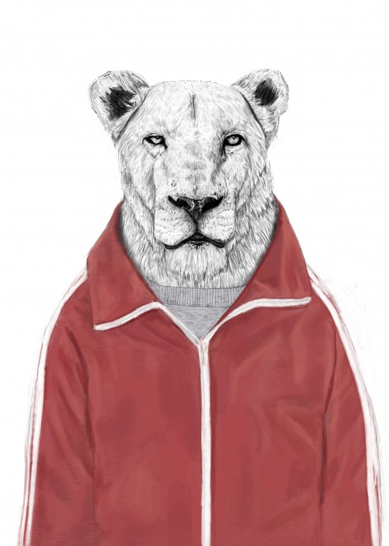 Sporty lion, lions, cats, animals, sport, sporty, cute, humor, funny, portrait, drawing
