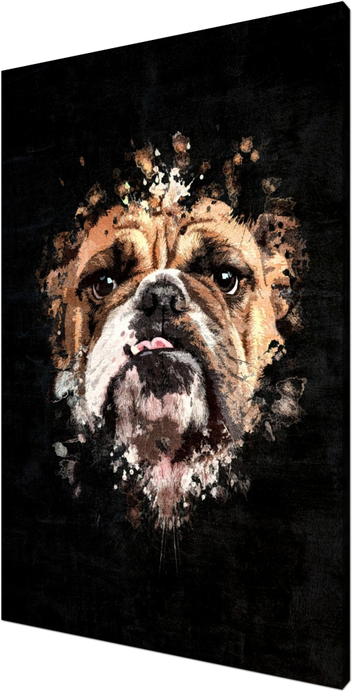Bulldog Splatter Painting, dog, Bulldog, pets, splatter painting
