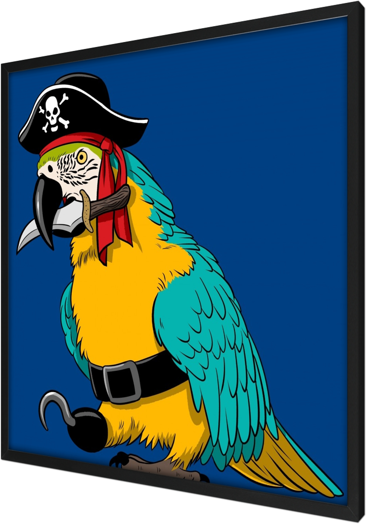 Pirate Macaw