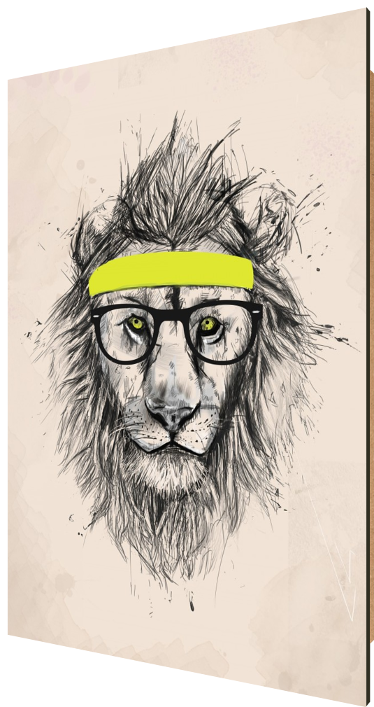 Hipster lion, lion, animal, drawing, headband, sport, humor, funny, glasses